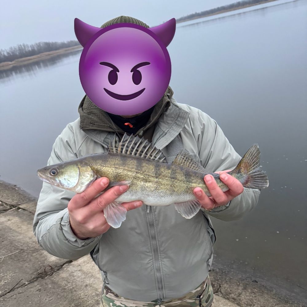 Прокурорський 