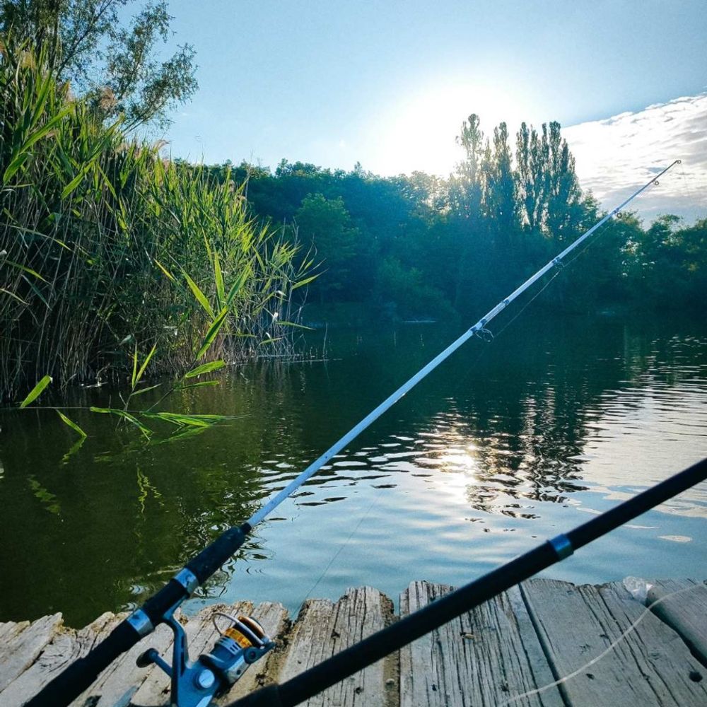 Dimonchik