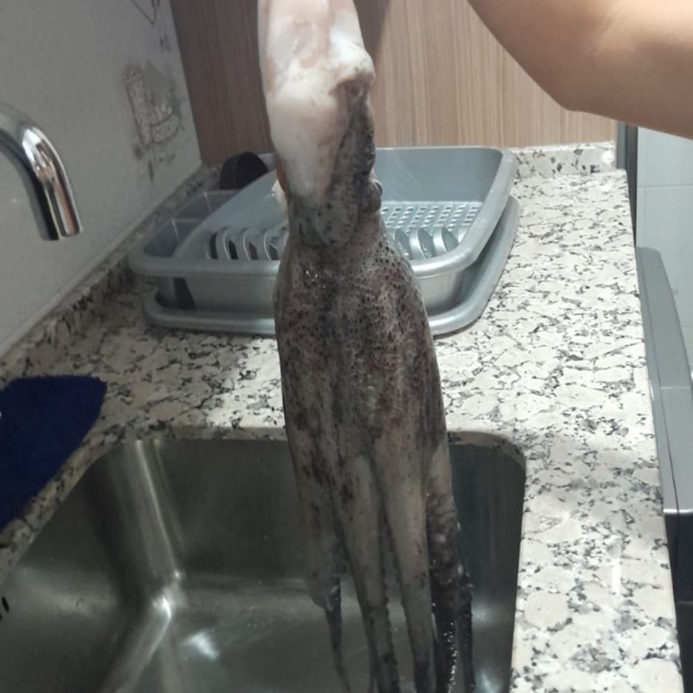 balanegra