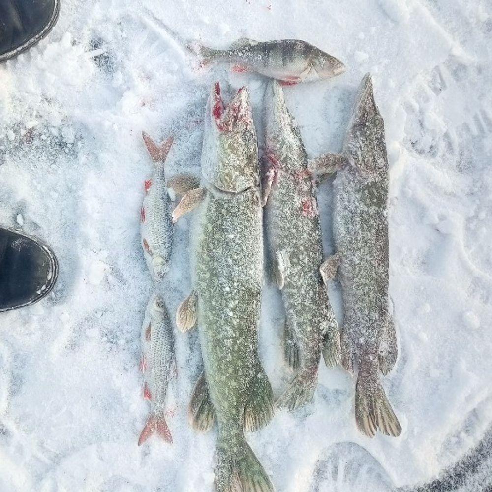 Байдакiвський розрiз
