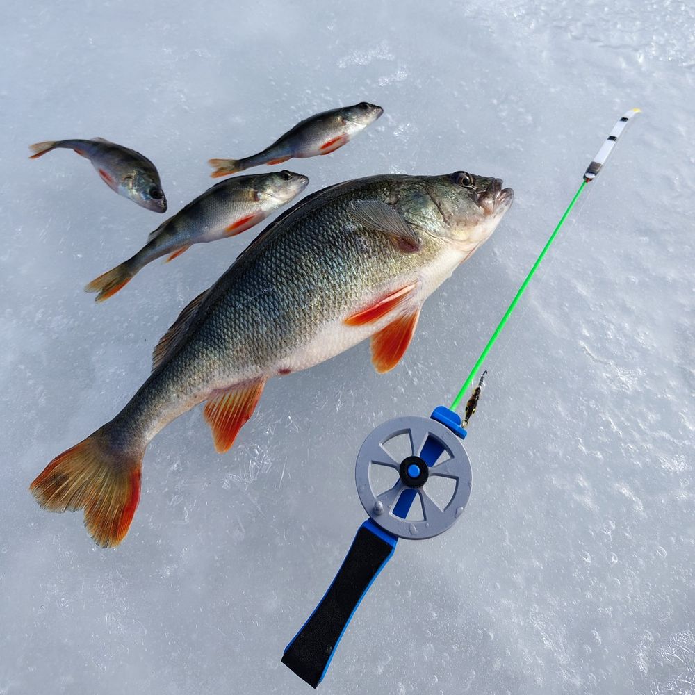 Perch