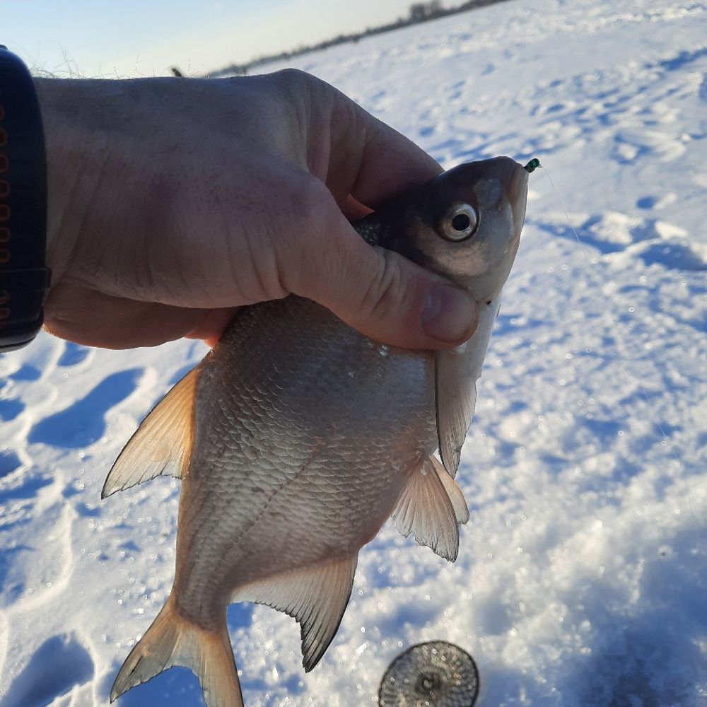 Млинівське водохранилище 