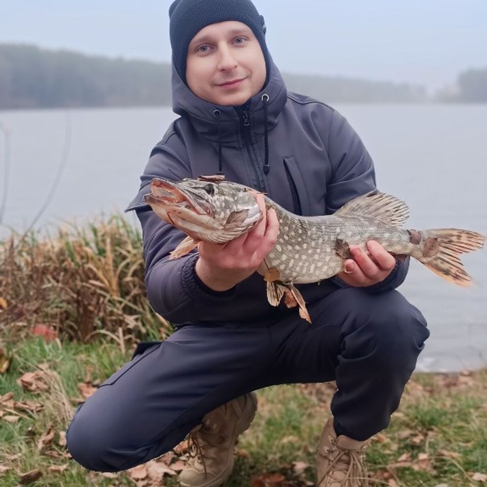 Щука