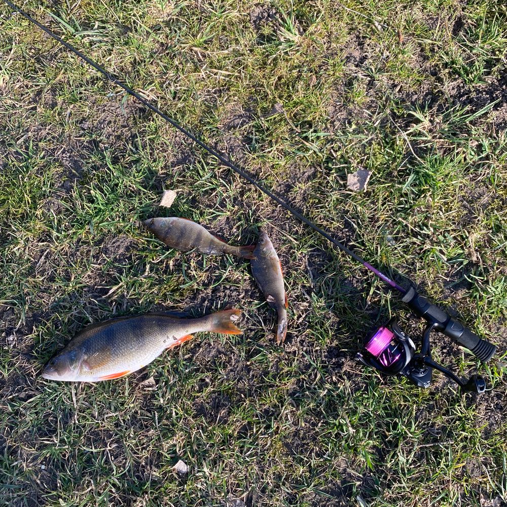 Річка ворона