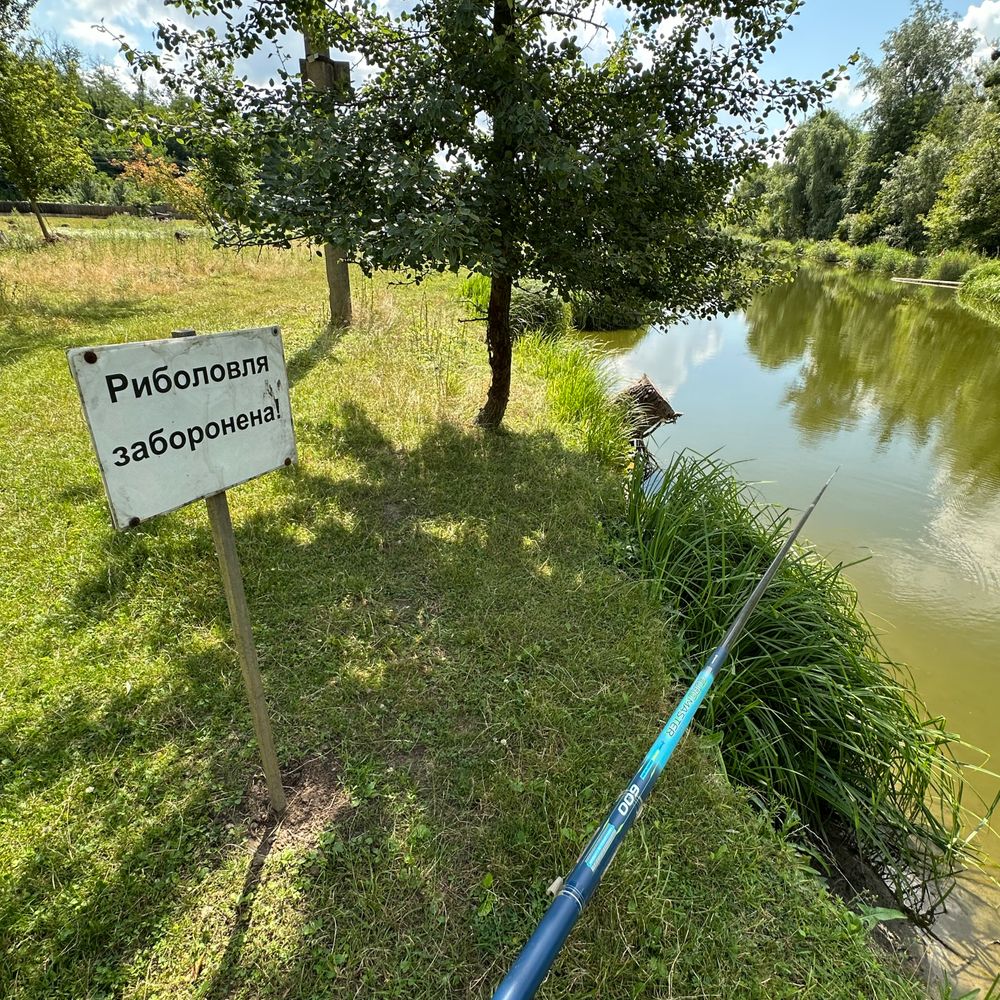 алень