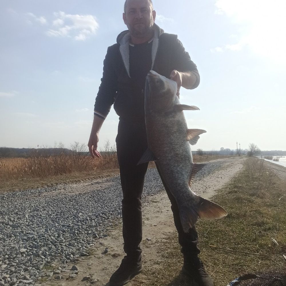 Гамаліївка