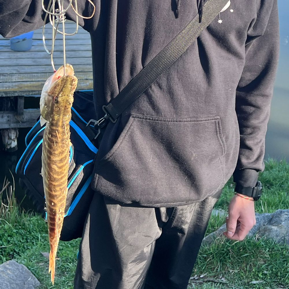 Fish park Забірʼя