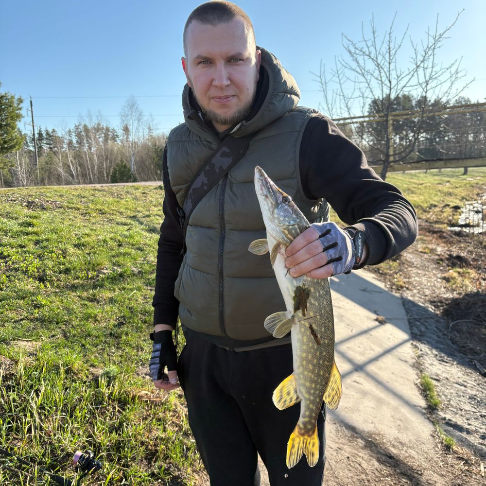 Борове