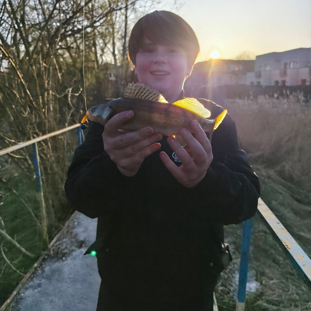 Петропавлівська Борщагівка