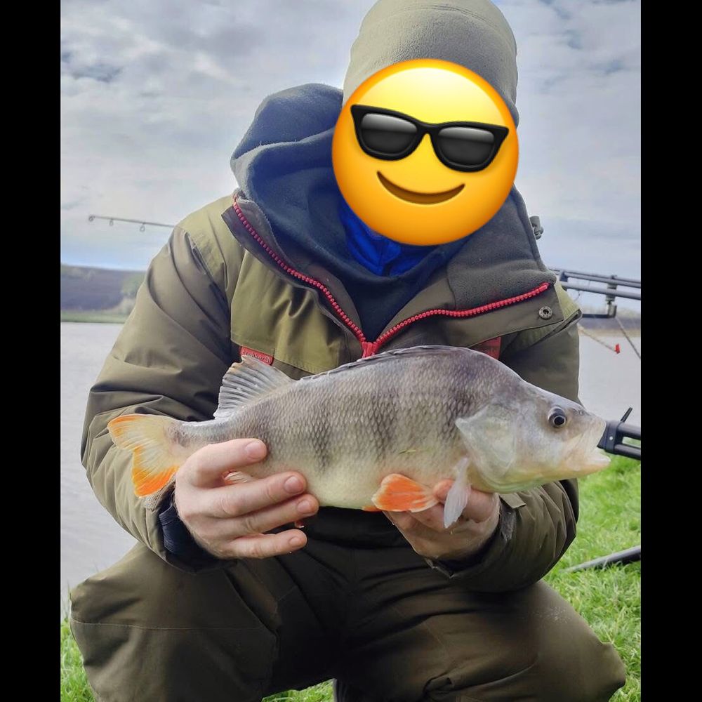 ТРОФЕЙНЕ ІФ