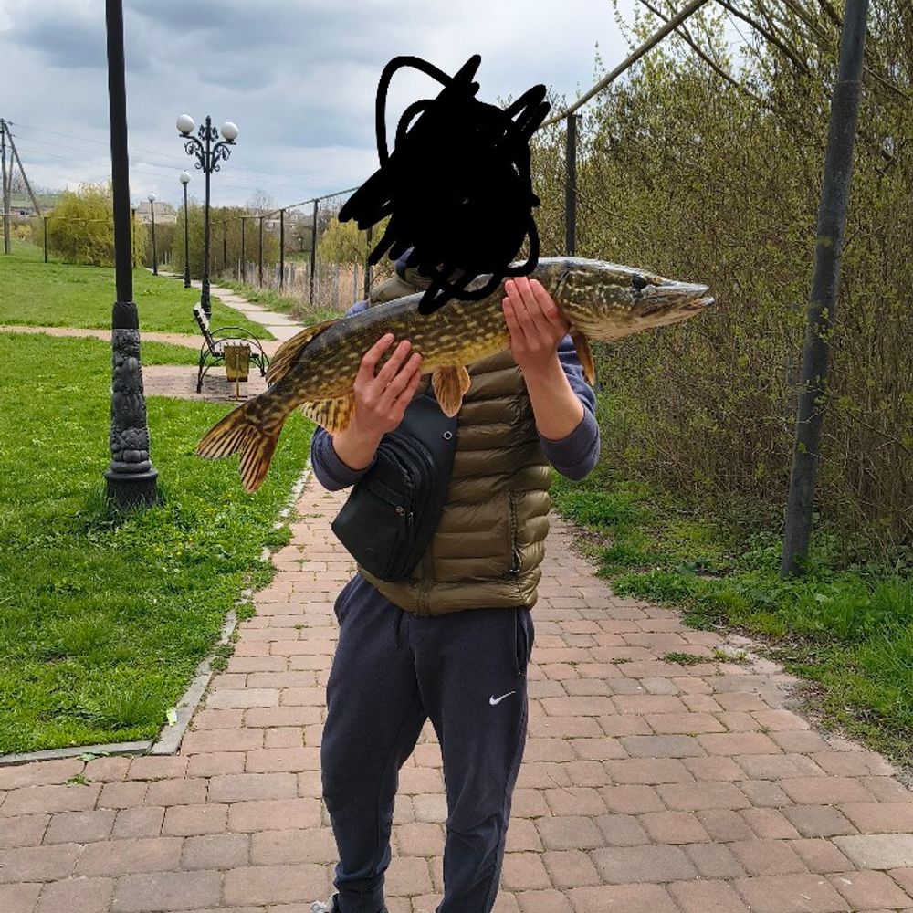 р.Рось
