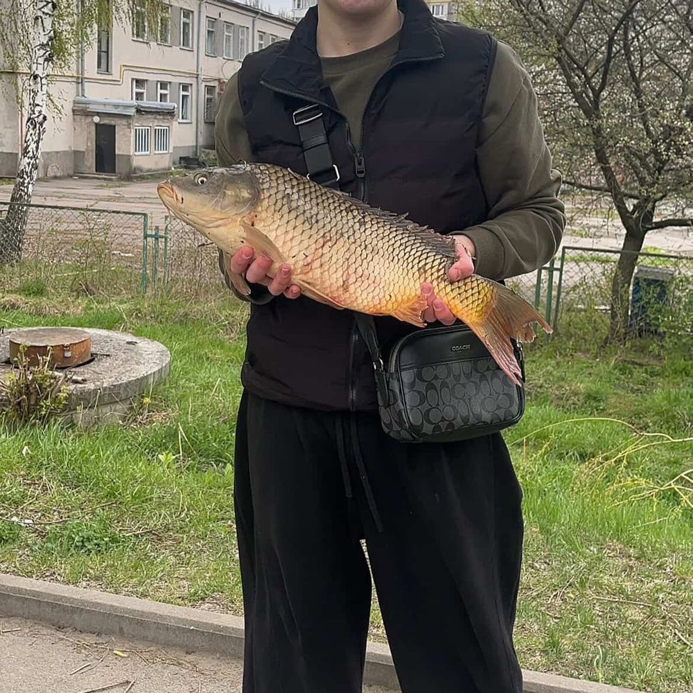 Став юбік