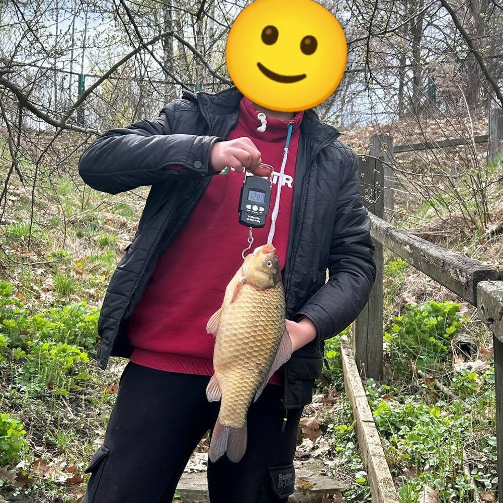 Карась