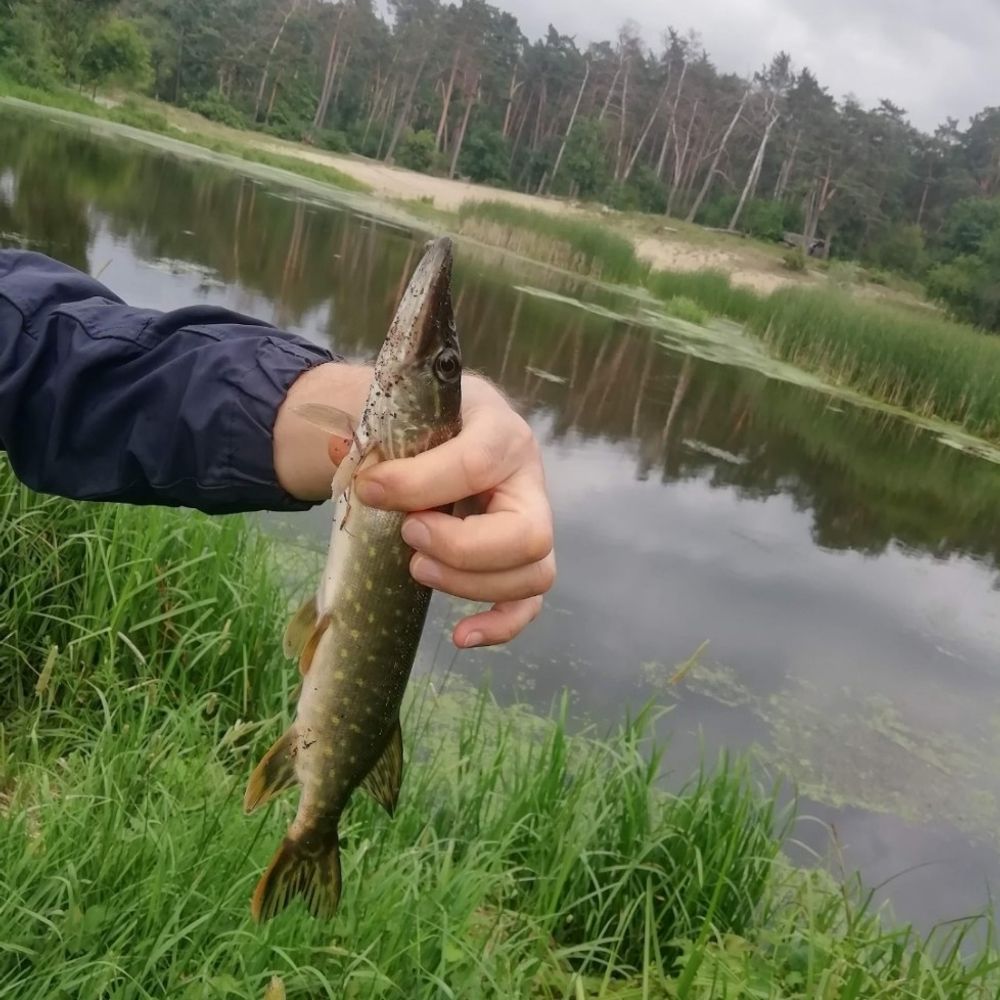 Ірпінка