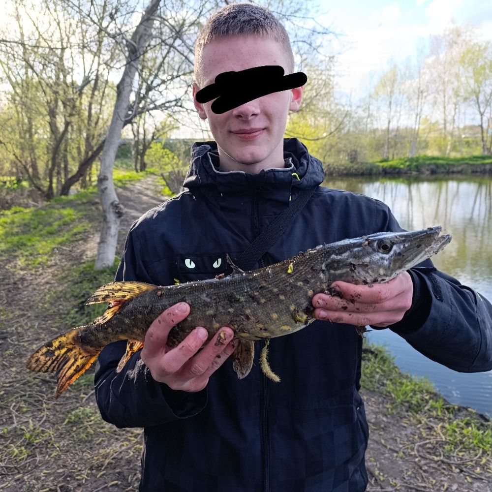 Пілєша 