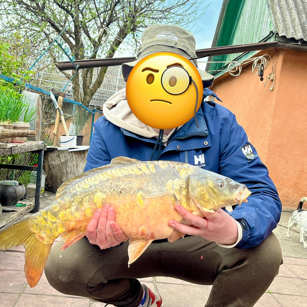 Без назви