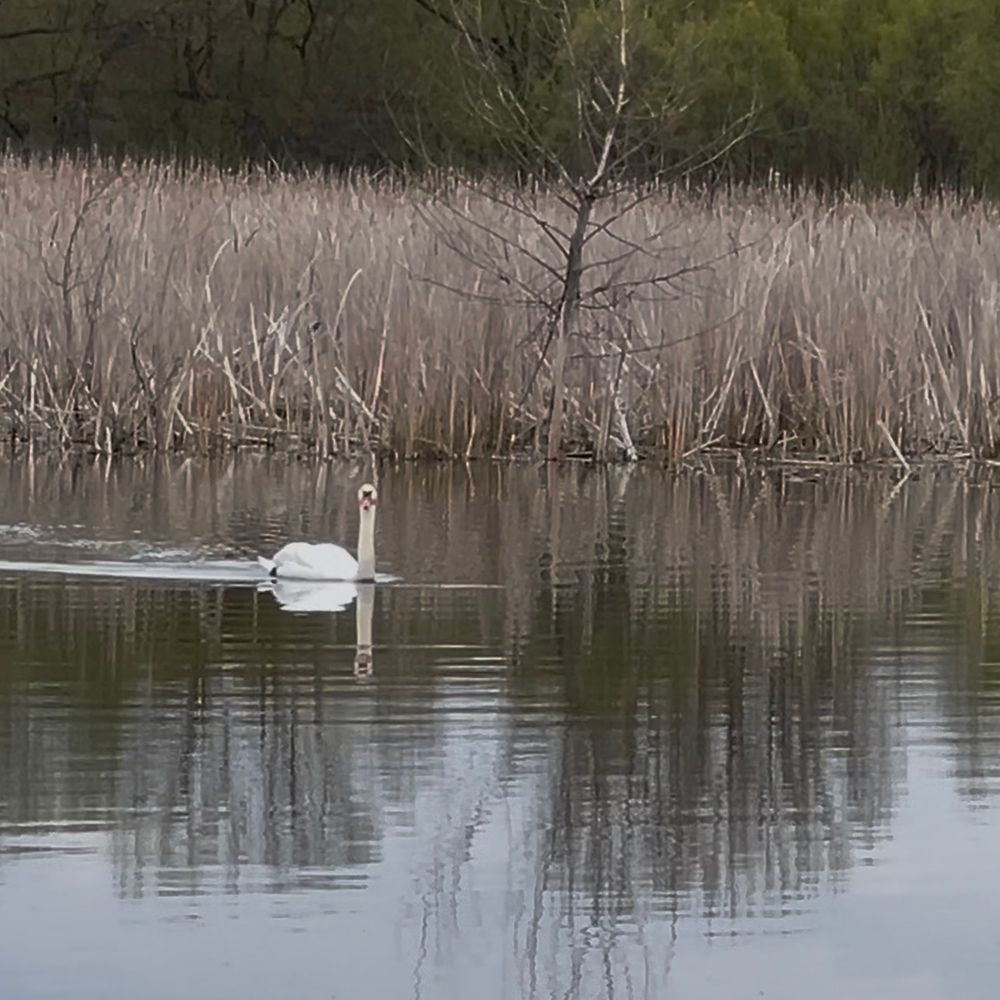 Ловив на ультралайт, приманка власного виробництва RoNaKa_ BaiTs