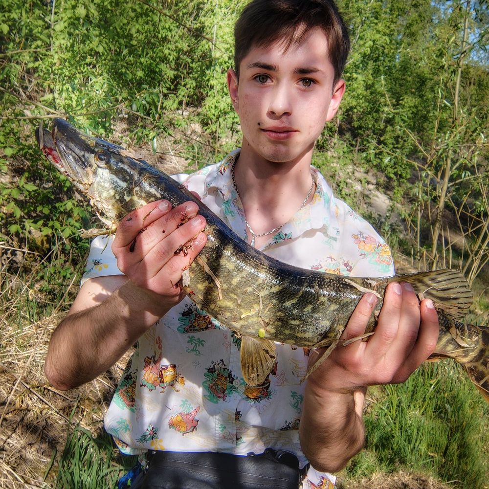 Pike