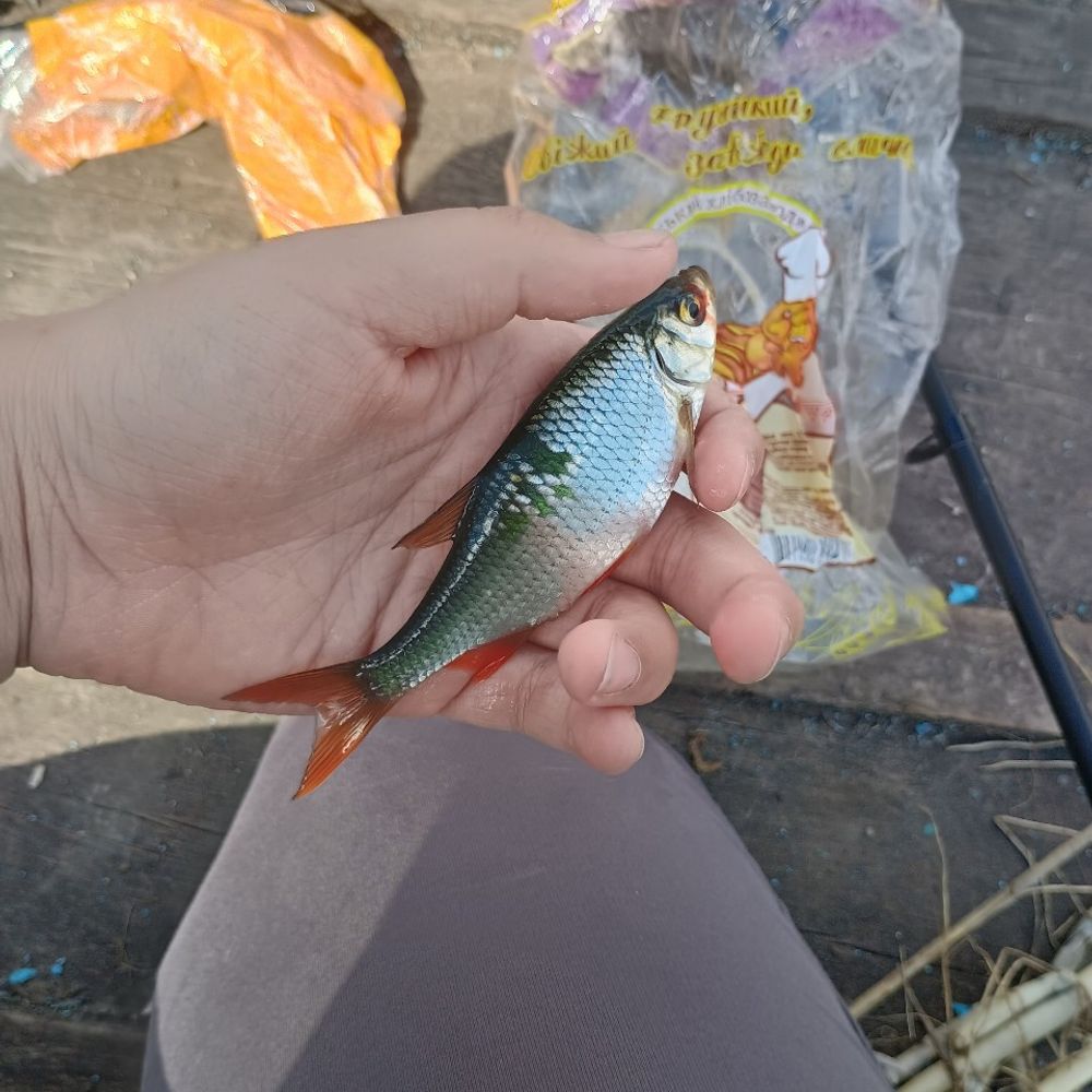 я не знаю назви водойми