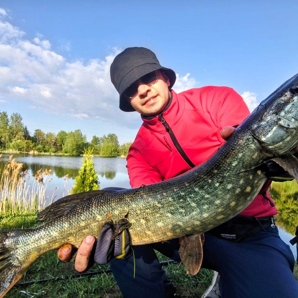 Хижий Ліс 