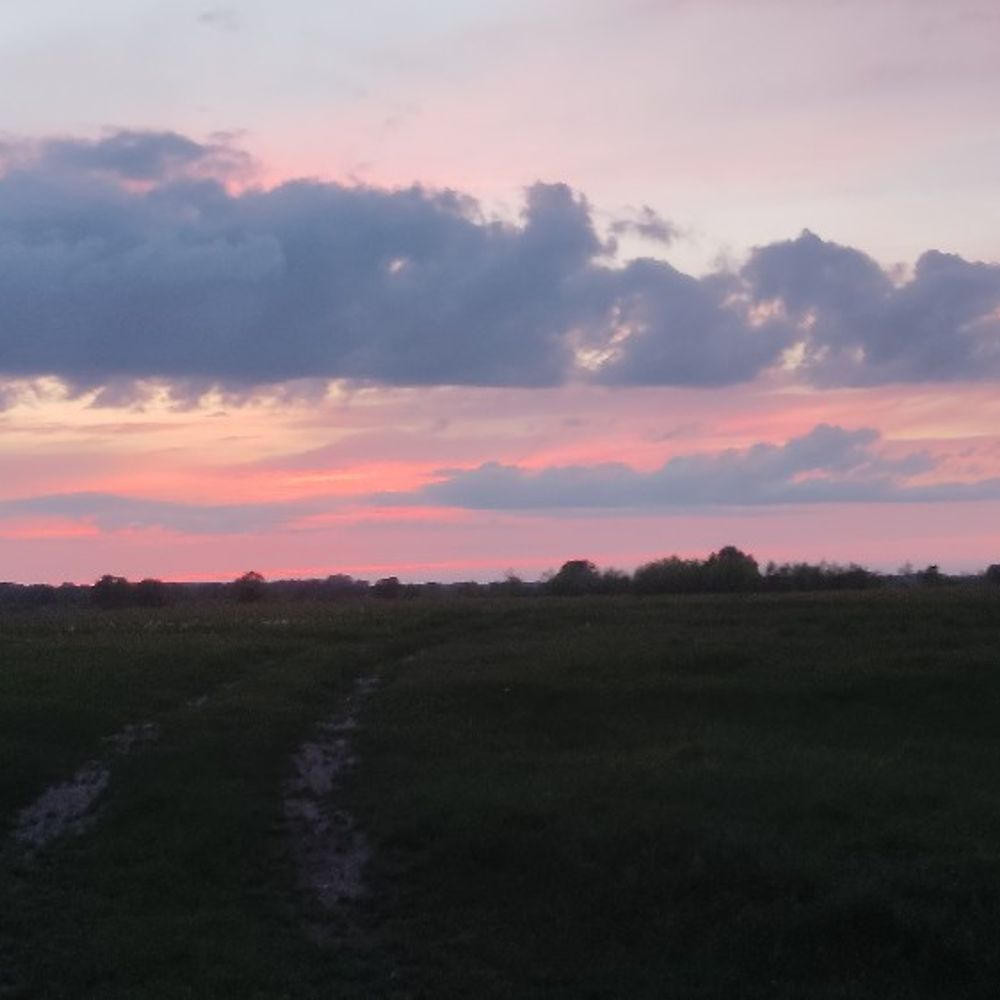 стариця 