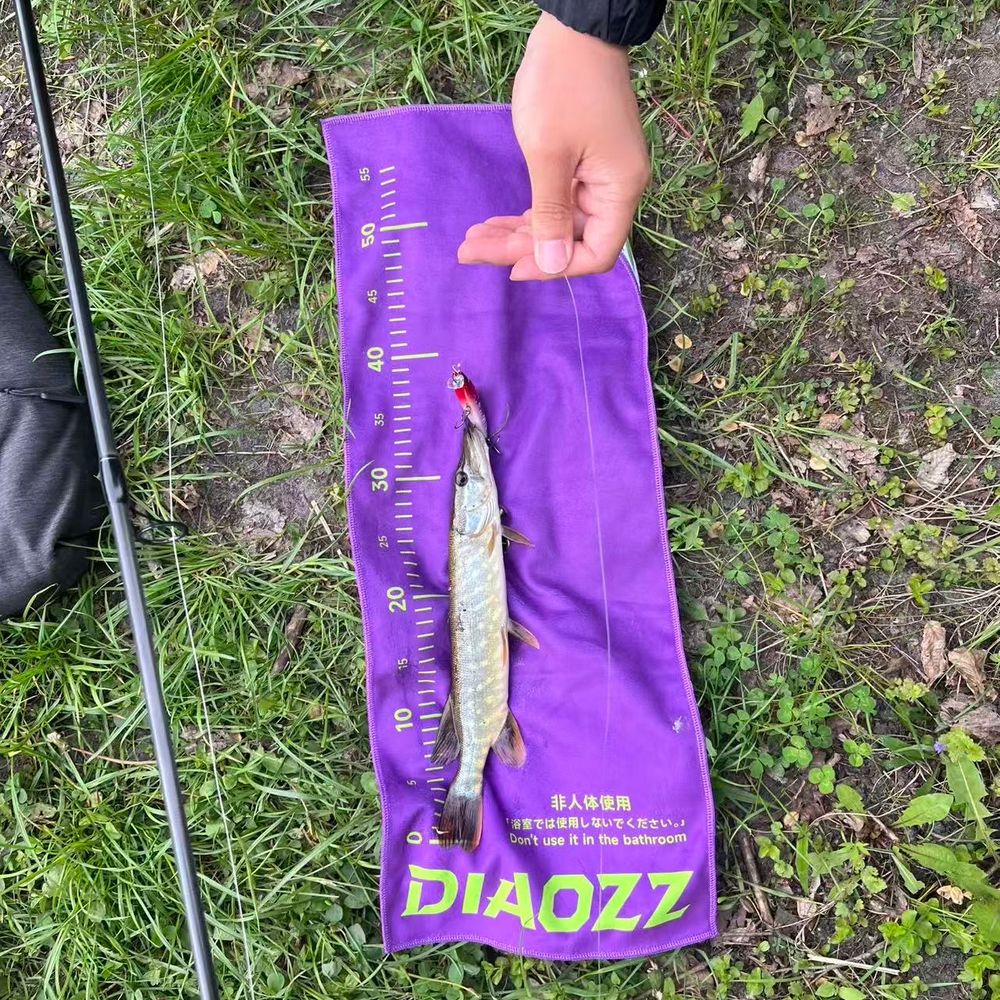 Free fishing 