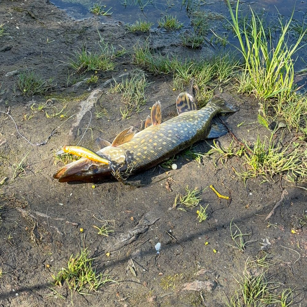 Дніпро 