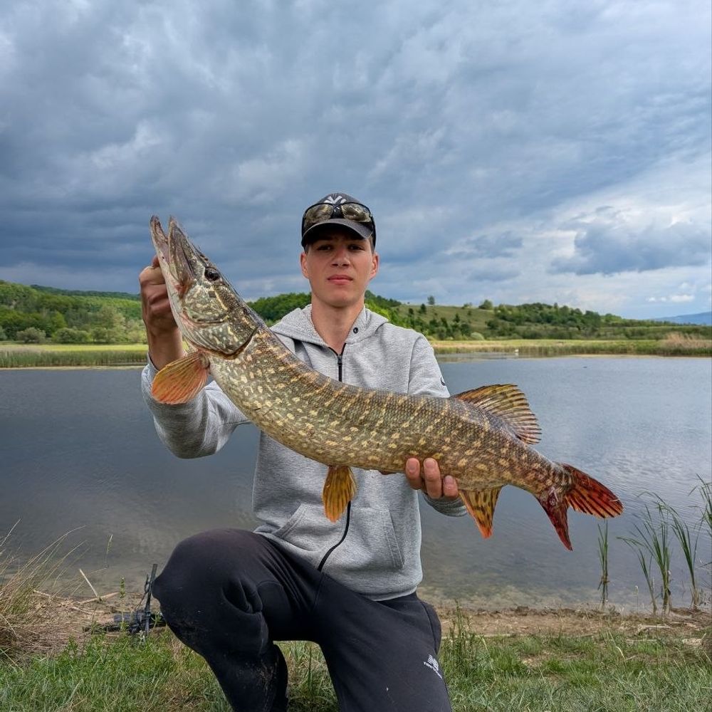 Pike