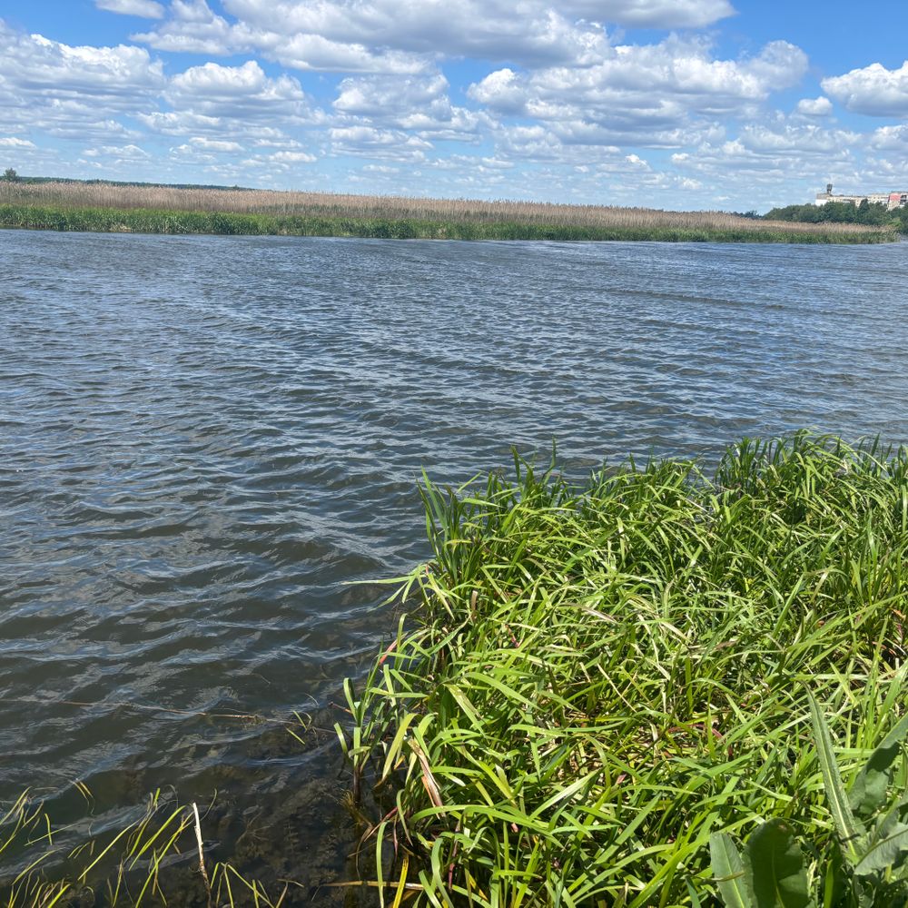 Горинь