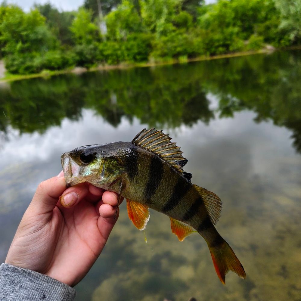 вихід до води