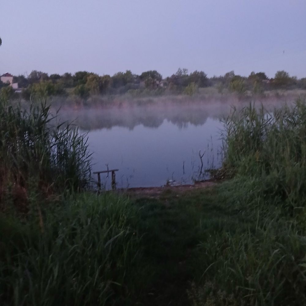 Мельница