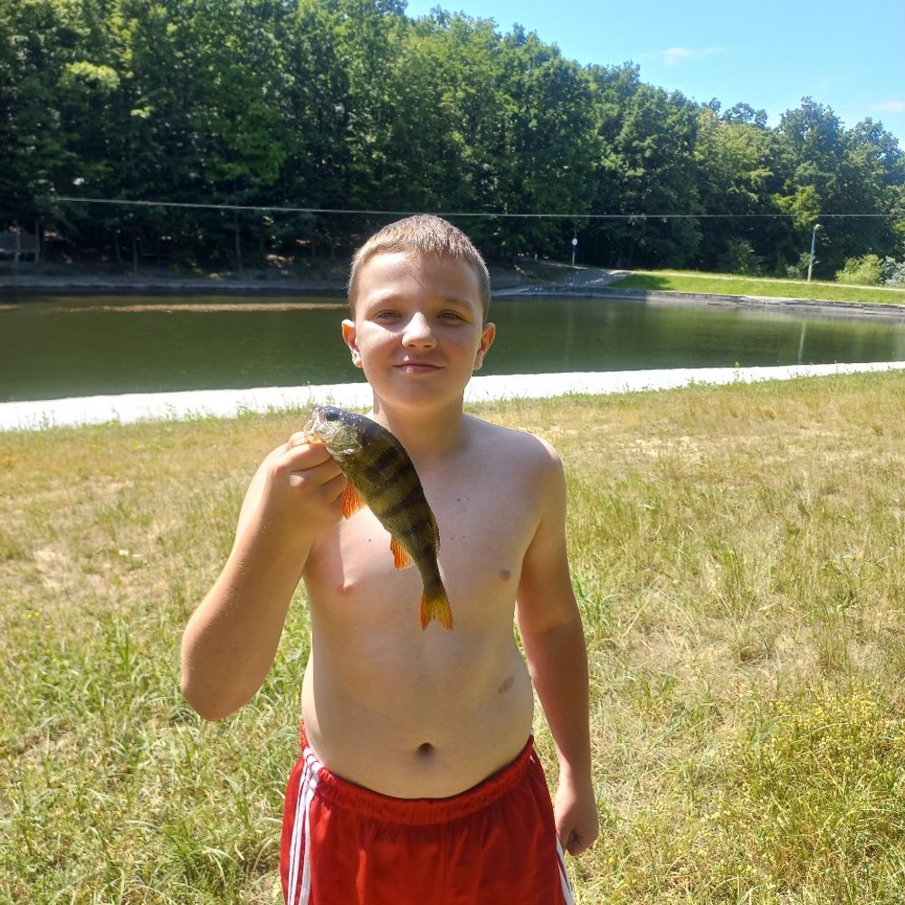 fishing данік
