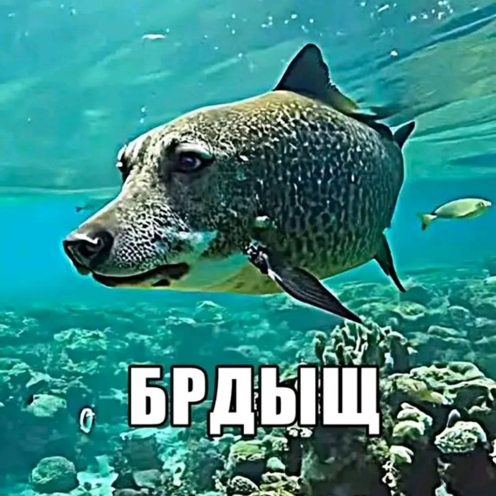 mqwa