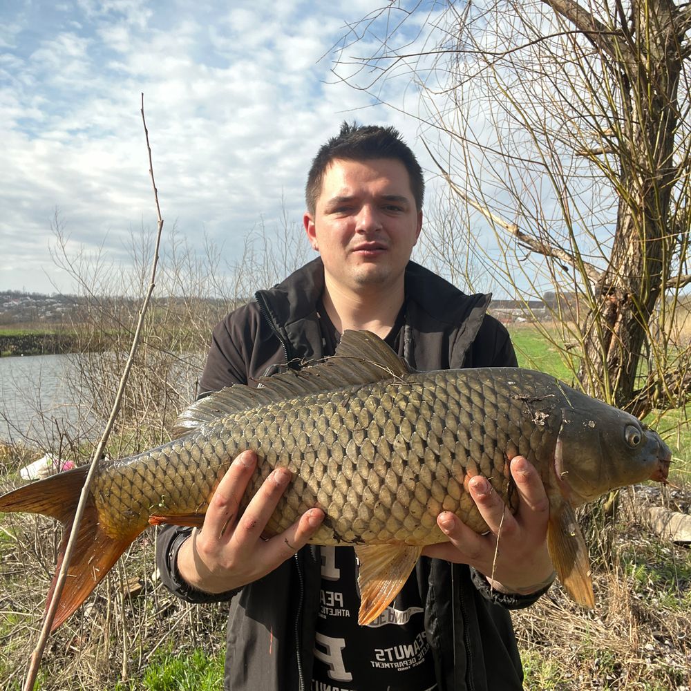 Yazlik
