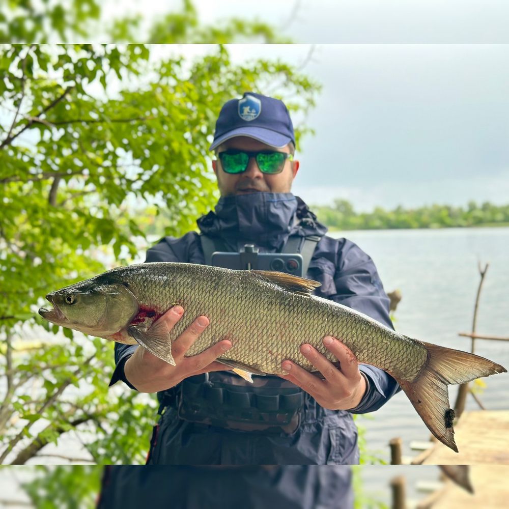 р.Дніпро
