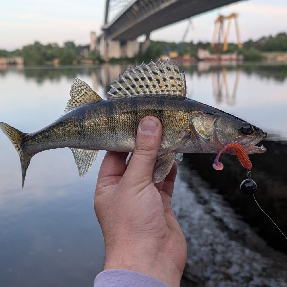 р. Дніпро