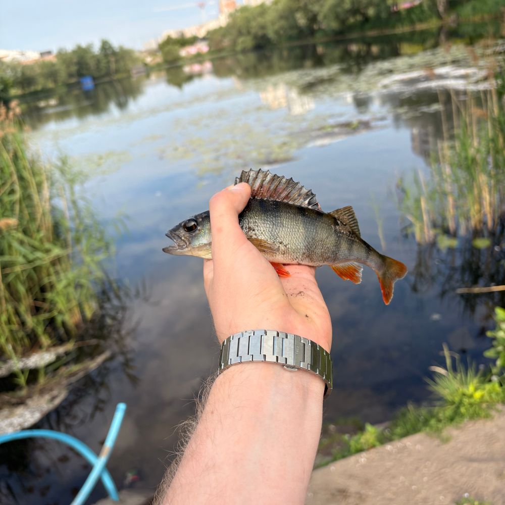 Озеро Позняки 
