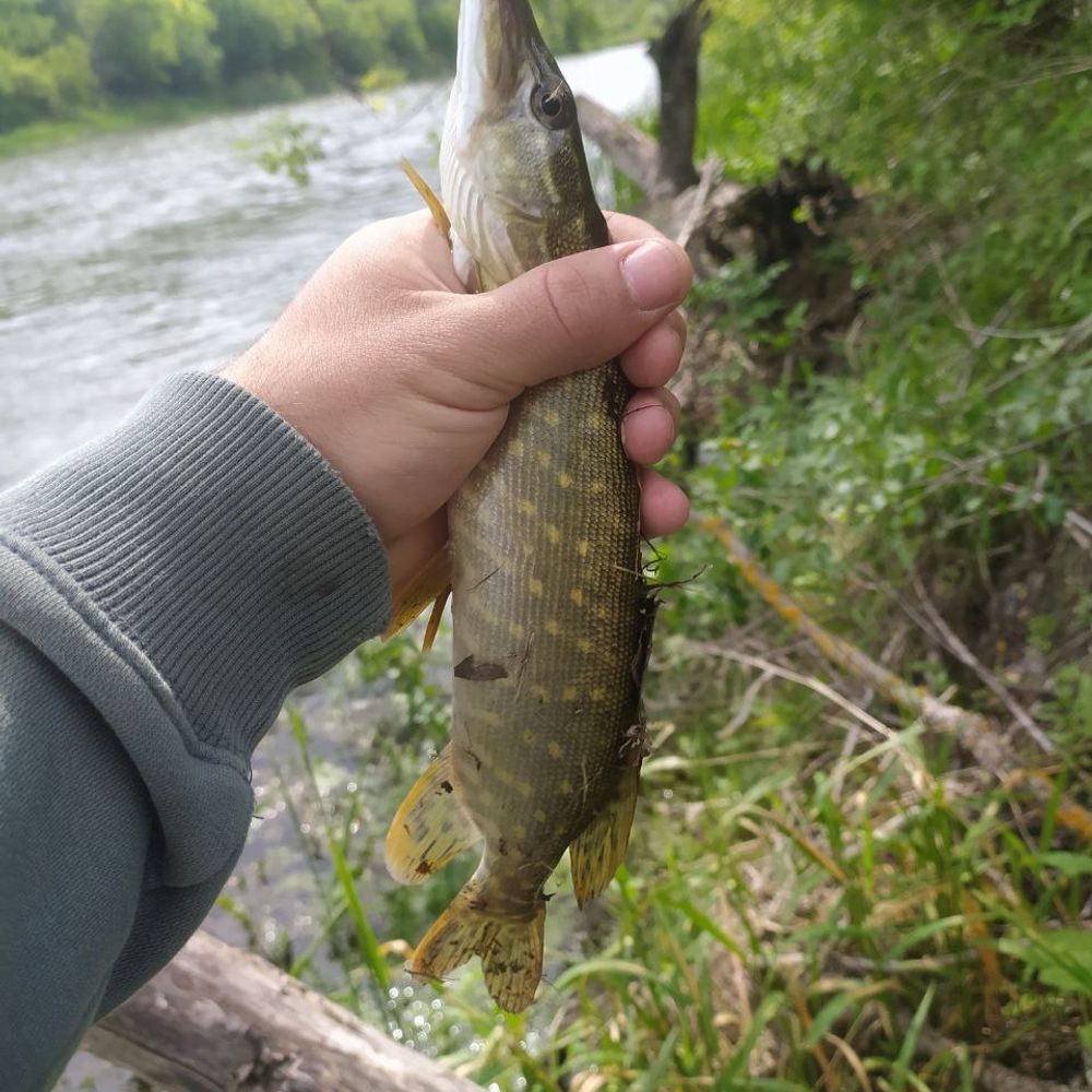 Балаклійка