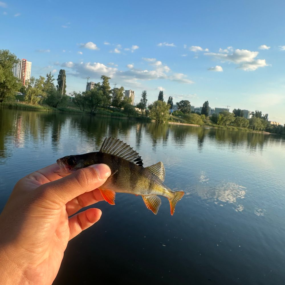 Тельбін