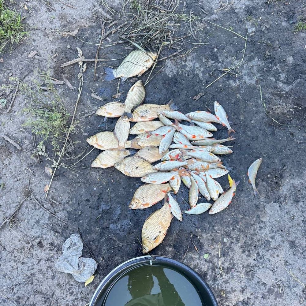 Водойма Лезнево