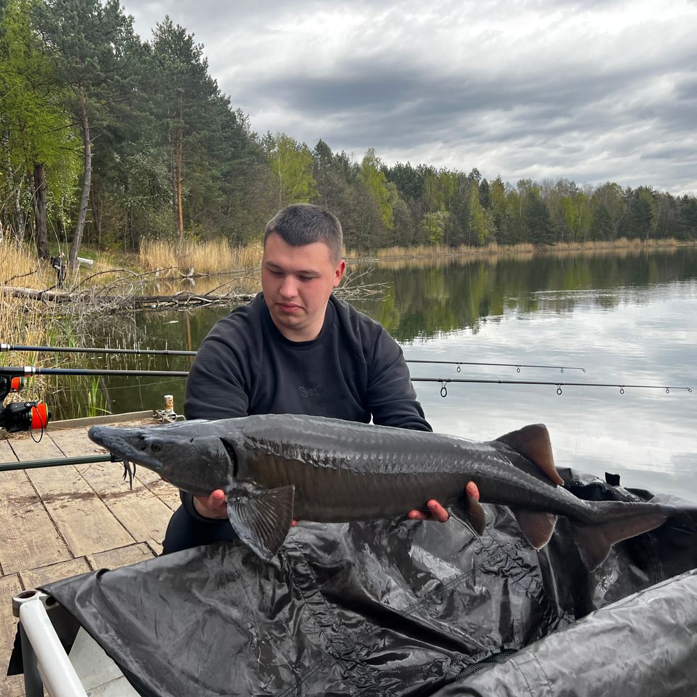 Баунті