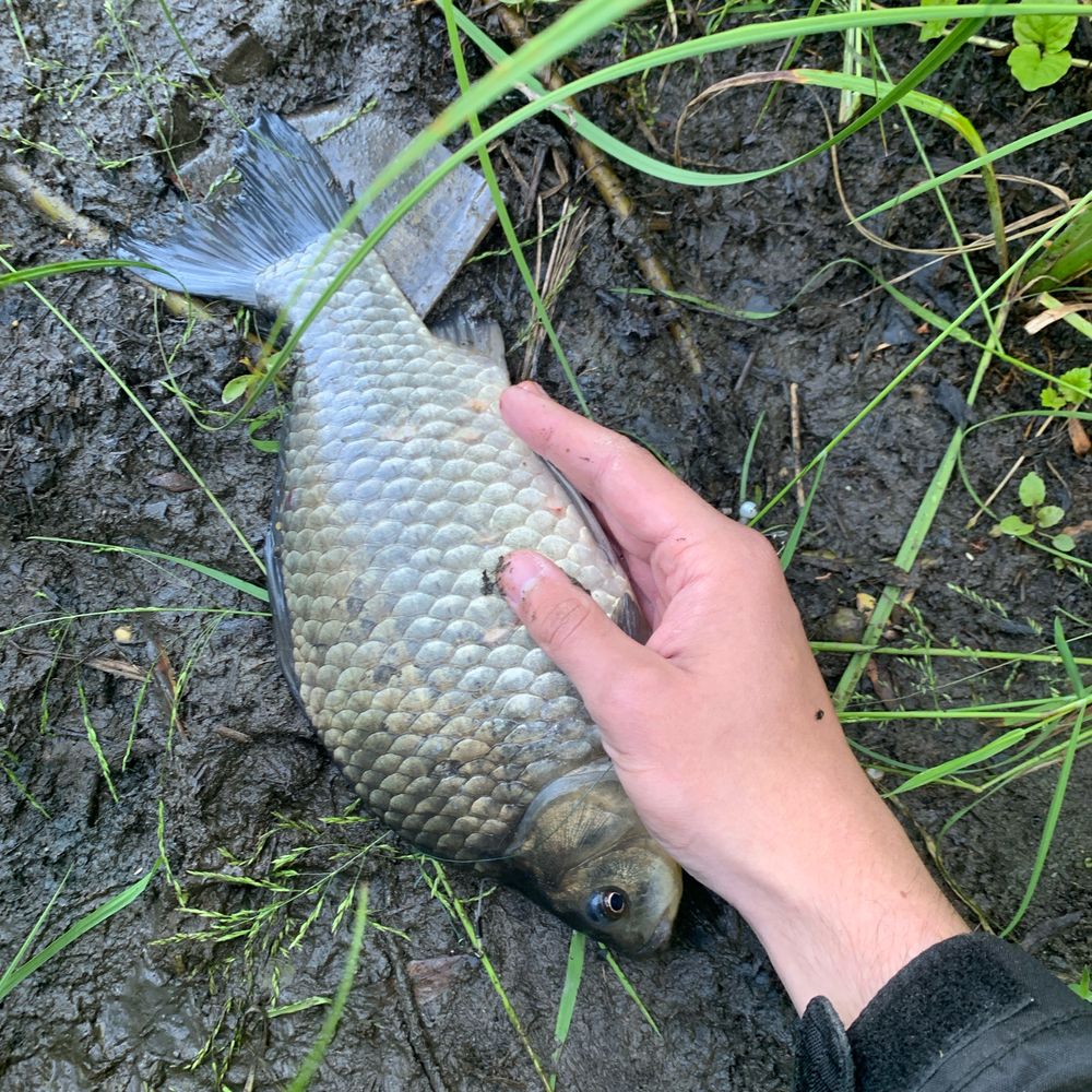 Случ