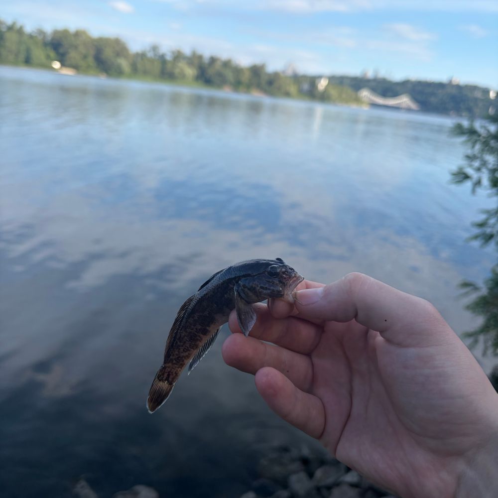 Дніпро