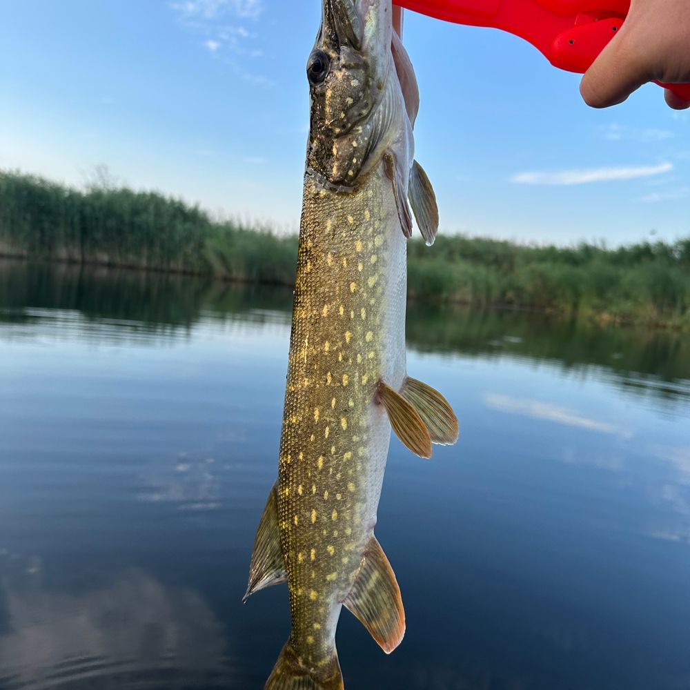Рекультивація 