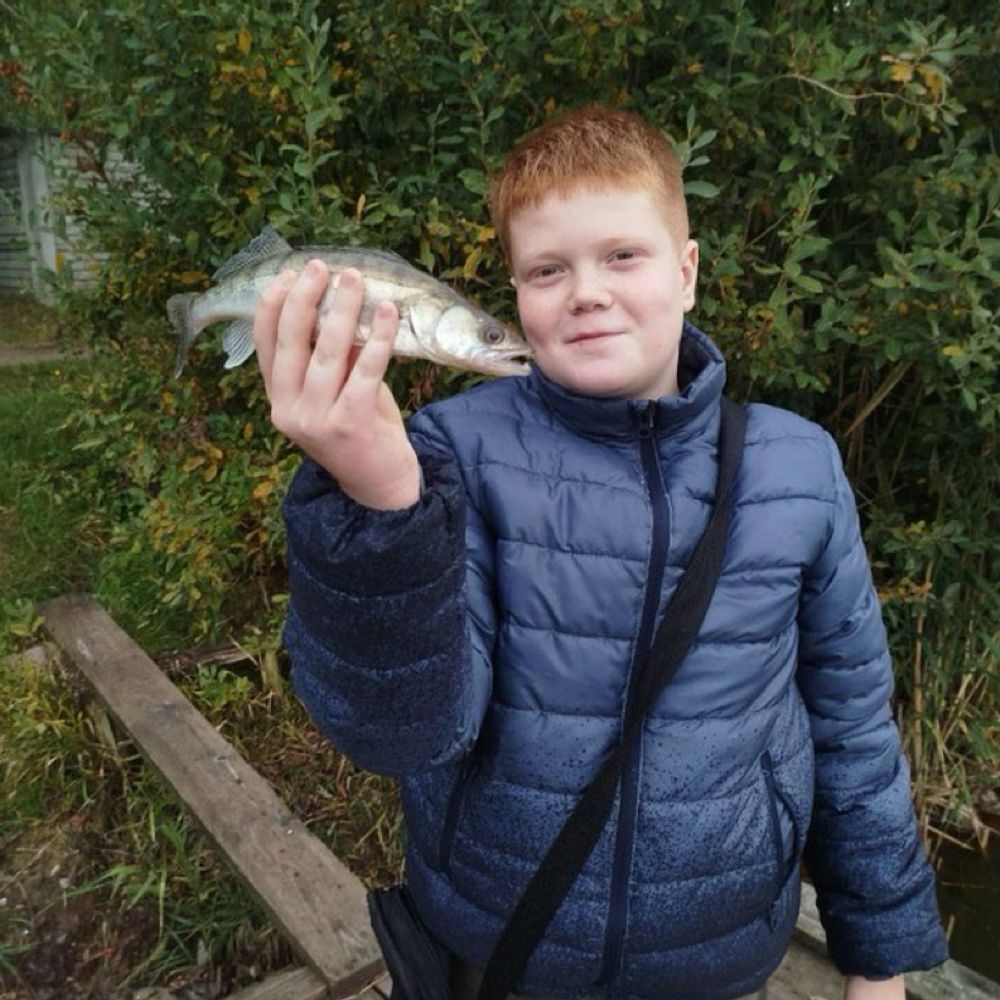 Гнилий Тікич