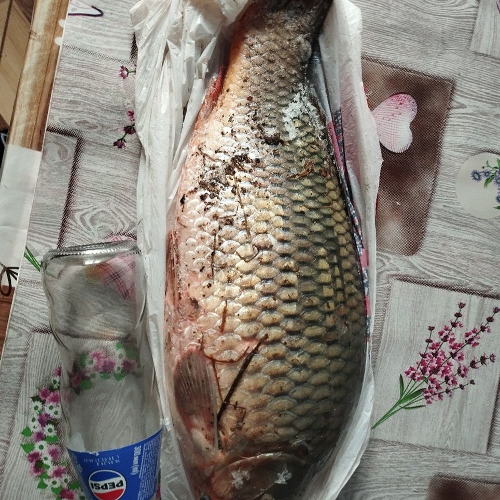 Дітковецький Став