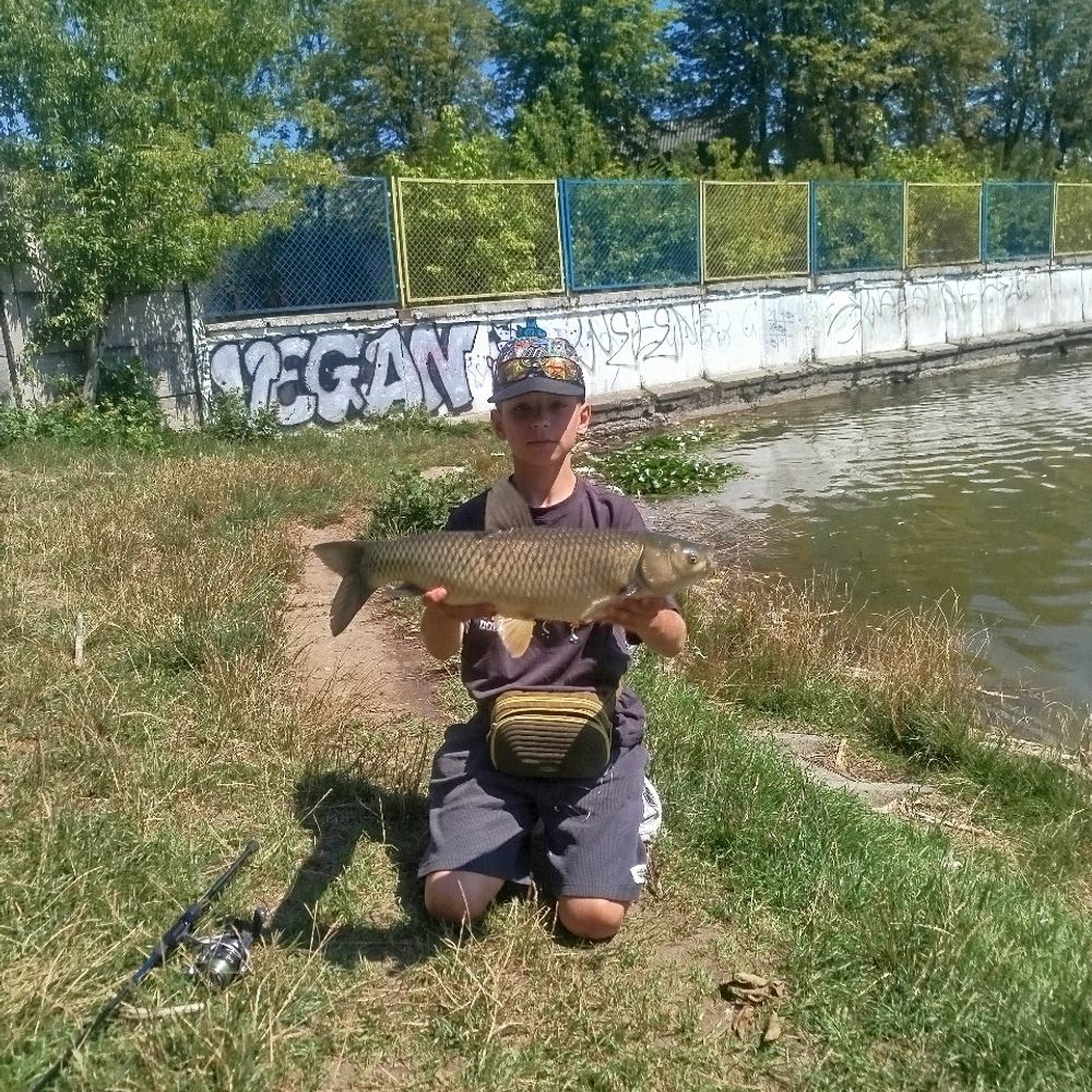 Левандівка