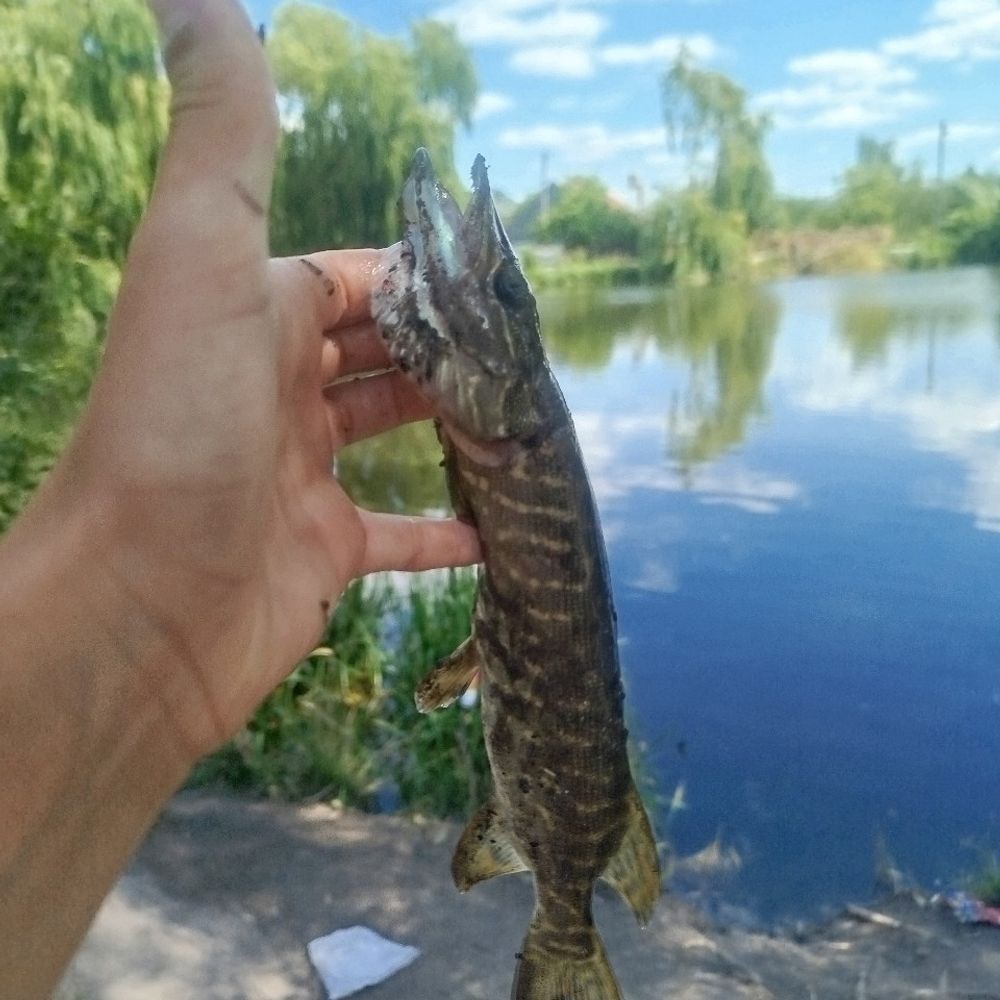 озеро Стосика