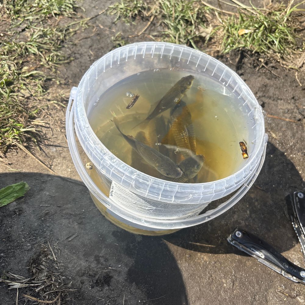 У водойми нема назви це затоплене поле