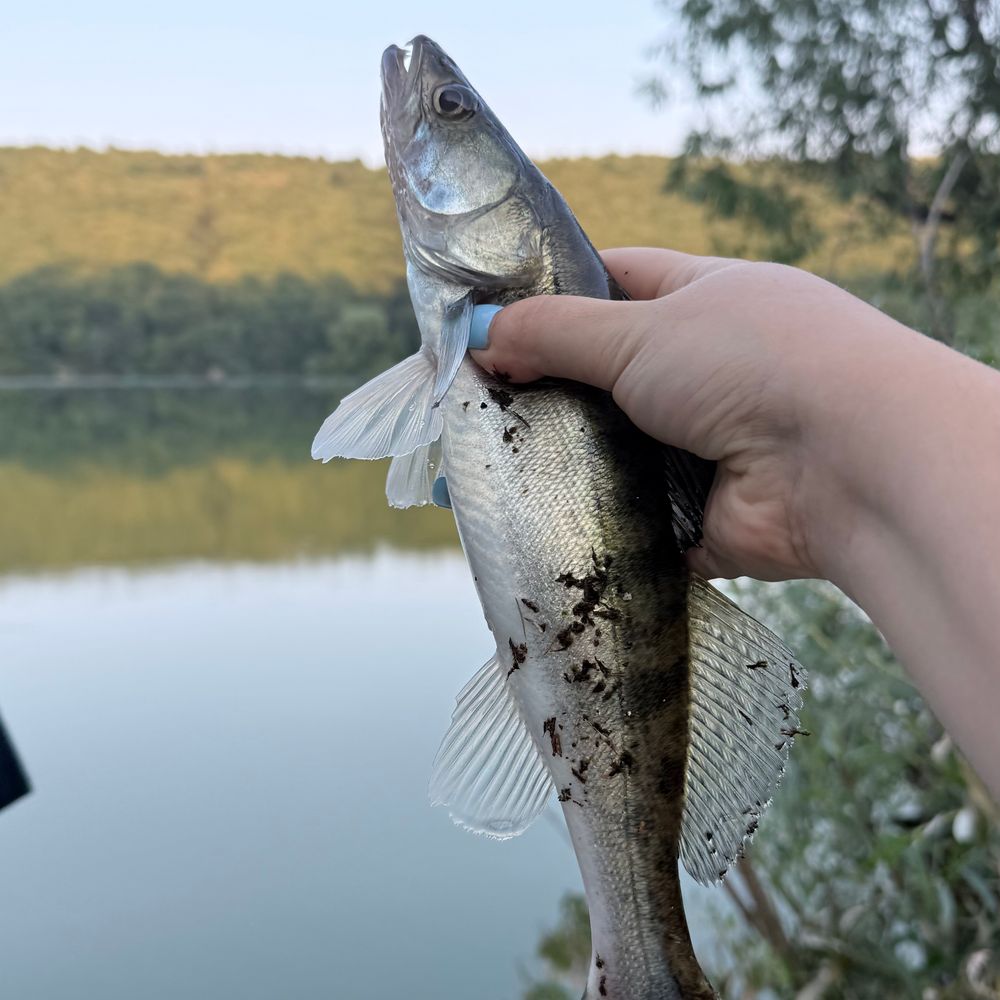 Касперівське водосховище